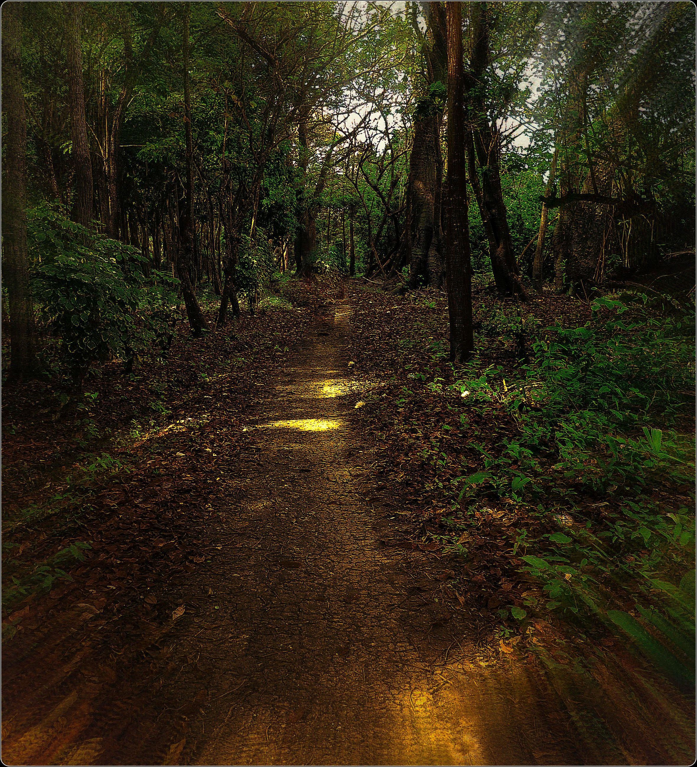 Sendero Riocedro